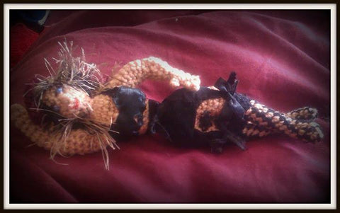 Customise your KMD competition! Want to win £400 of Kiss Me Deadly?