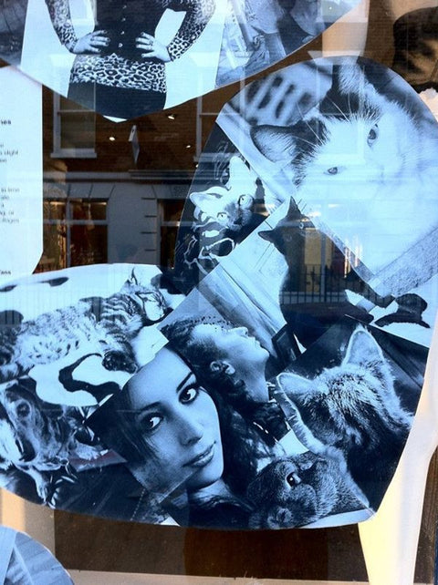 Shoot your love and win £400 of Kiss Me Deadly!