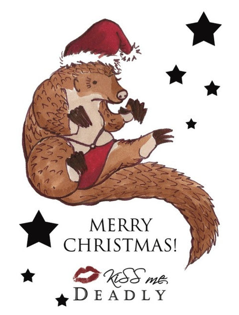 Lingerie Secret Santa 2016